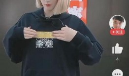 李宁主播爆料视频大全,揭秘幕后故事与精彩瞬间